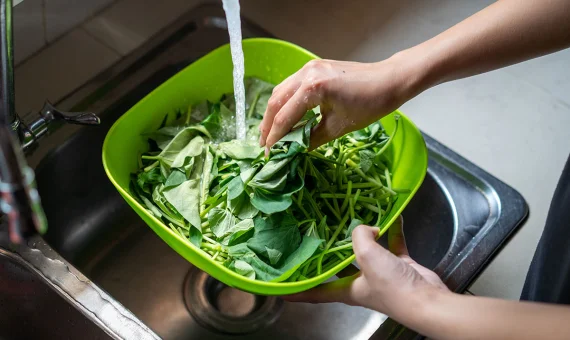 Childminding Nutrition and Food safety